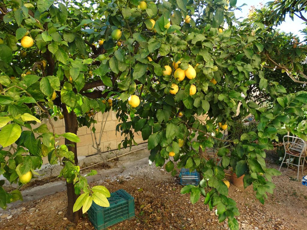 アヴォラIl Giardino Del Corsoアパートメント エクステリア 写真